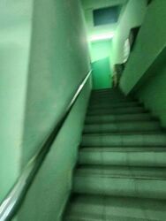 Jalan Besar (D8), Shop House #451336271